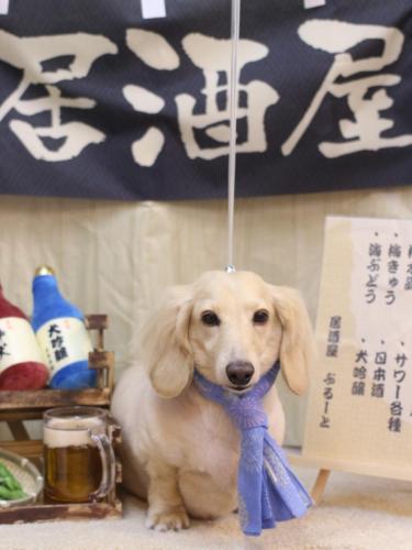 20240622シオンくん